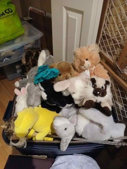 Photo of free Stuffies (highway 10 & wanless drive) #1