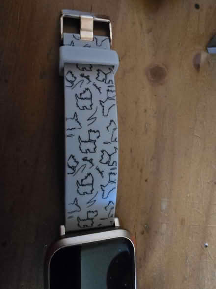 Photo of free Boo Radley smart watch (Trowbridge) #3