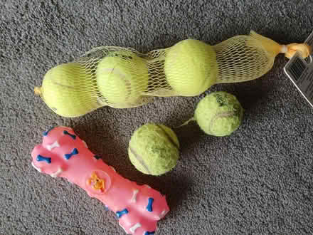 Photo of free Dog Toys (Hangleton, West Hove) #1