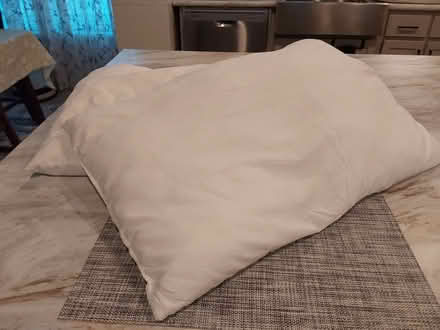 Photo of free 2 bed pillows (I94/Rawsonville Rd, Willis) #1