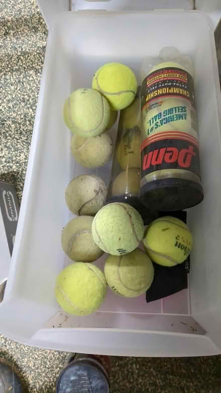Photo of free Tennis balls (Foothill and Grant) #1