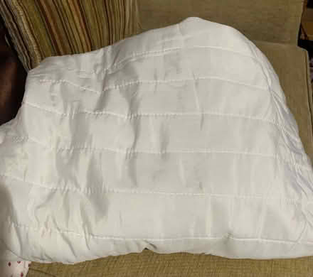 Photo of free Single Mattress Protector (Colney Hatch N10) #1
