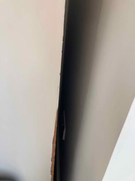 Photo of free White wardrobe (SE19) #3