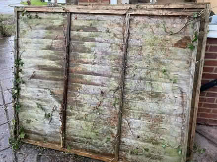 Photo of free 2 Fence Panels, 6'w x 5'h (CT2) #1
