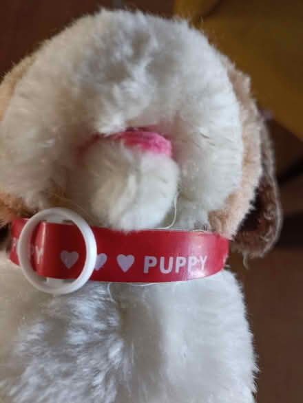Photo of free Walking squeaky plush puppy (Romford RM1) #4