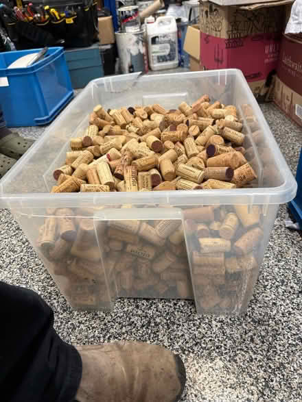 Photo of free Corks galore (Walton, S42) #2