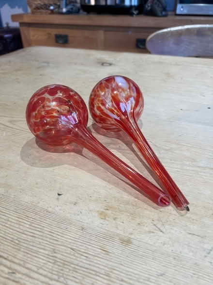 Photo of free Glass plant drippers (Hastings TN35) #1