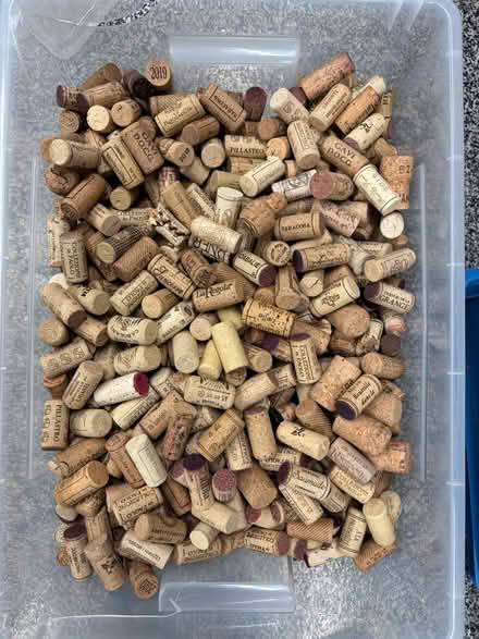 Photo of free Corks galore (Walton, S42) #1