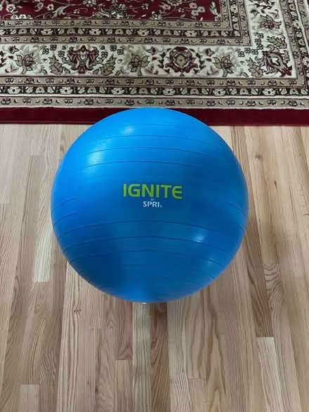 Photo of free Exercise ball (Telegraph & Ashby in Berkeley) #1