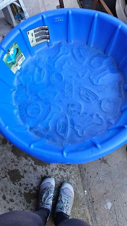 Photo of free Baby pool or dog pool (Haymarket Va) #1