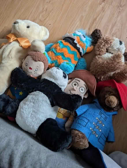 Photo of free Teddies (Gravesend DA12) #1