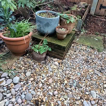 Photo of free Paving slabs. 15 left (Catford South SE12) #2