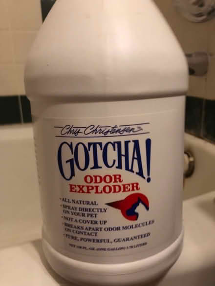 Photo of free Pet odor removal treatment (San Jose) #1