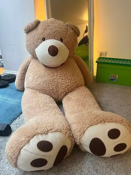 Photo of free Giant stuffed teddy bear (Hanwell W7) #1