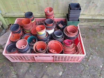 Photo of free Plant pots galore (Bernards Heath AL1) #1