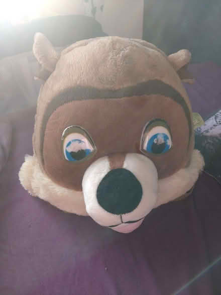 Photo of free Dog rucksack childs (Clubmoor L4) #1
