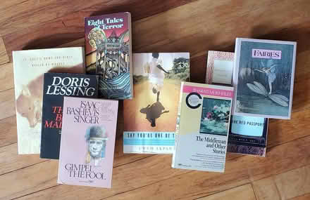 Photo of free Nontoxic novels, poetry, plays (Ann Arbor Northwest Side) #3