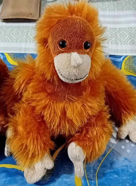 Photo of free Teddy Monkey Soft Toys (Hayes end) #2