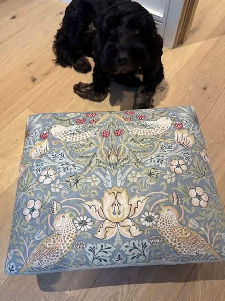 Photo of free Footstool (Stroud Green N4) #1