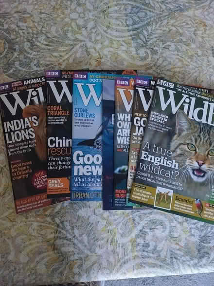 Photo of free BBC Wildlife magazine (SW8 London) #1