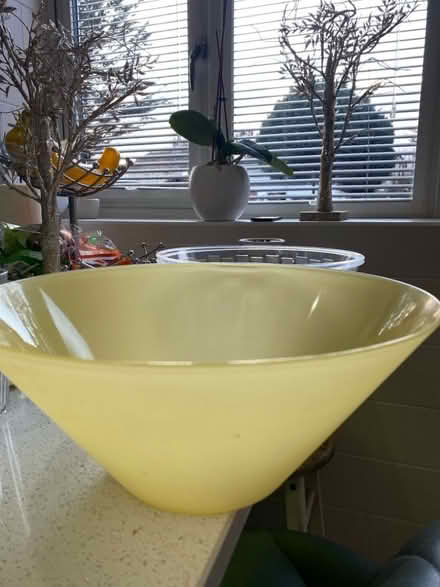 Photo of free Serving bowls (Elm Park RM12) #1