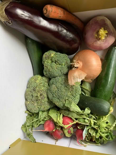 Photo of free Veggies (Los Altos) #1