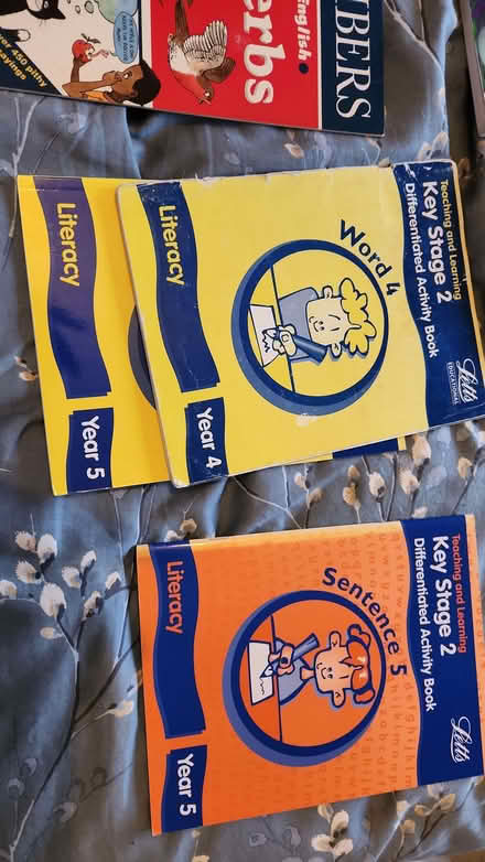 Photo of free KS2 teacher resource books (Weeping Cross ST17) #4