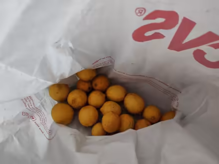 Photo of free Food + lemons + dish soap (Midtown/Boulevard Park) #2