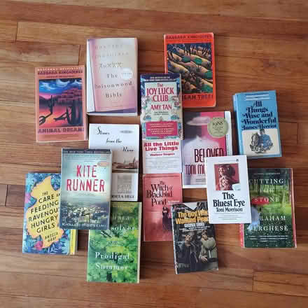 Photo of free Nontoxic novels, poetry, plays (Ann Arbor Northwest Side) #1