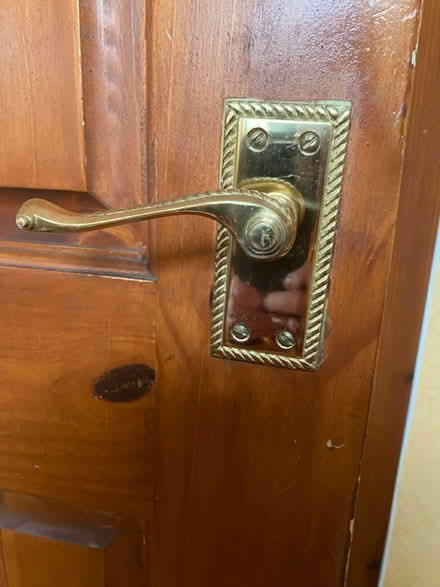 Photo of Door handle (lanark) #2