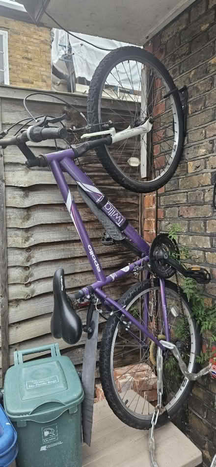 Photo of free Apologies Twilight (SW14) #1