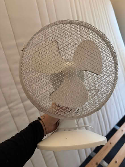 Photo of free Desk fan (Wood Green N22) #1