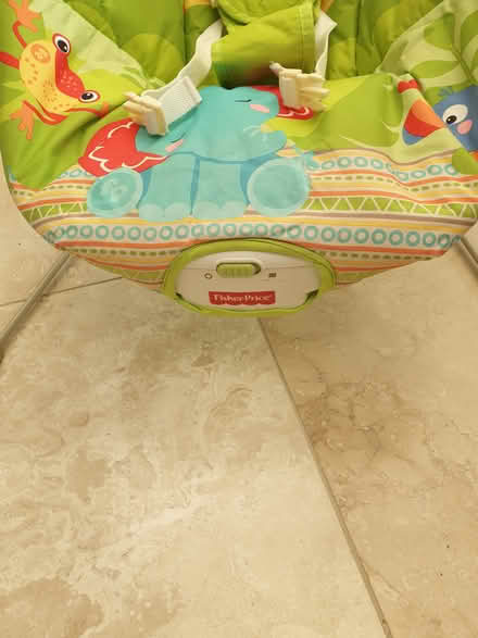 Photo of free Baby bouncer (TN38) #3