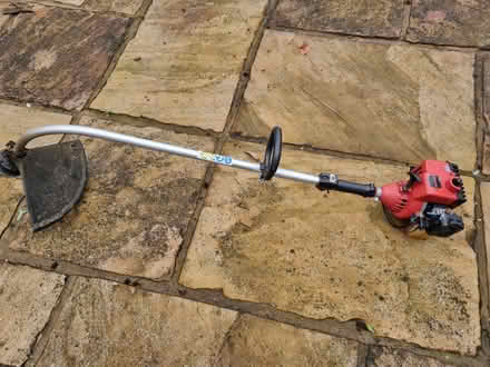 Photo of free Homelite 20563e petrol strimmer (wallingford..wantage road) #1