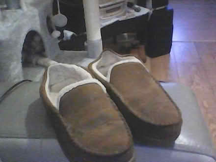 Photo of free mens slippers (Aspley NG8) #1