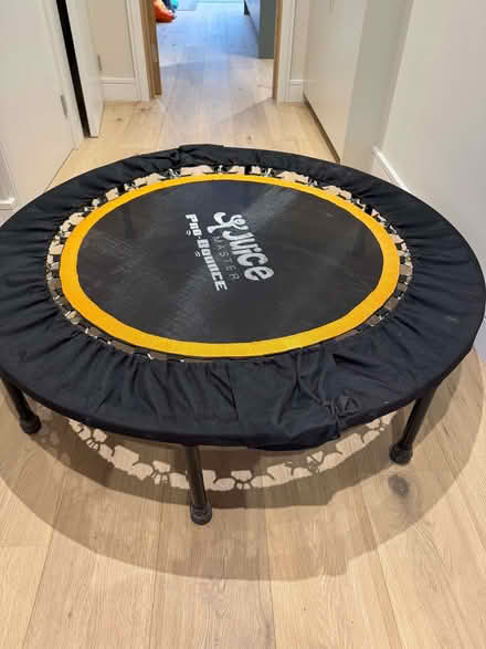 Photo of free Mini Trampoline Bouncer/Exerciser (Stroud Green N4) #1
