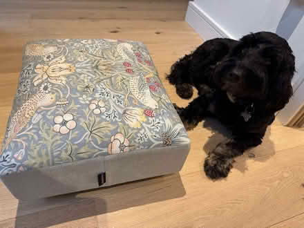 Photo of free Footstool (Stroud Green N4) #2
