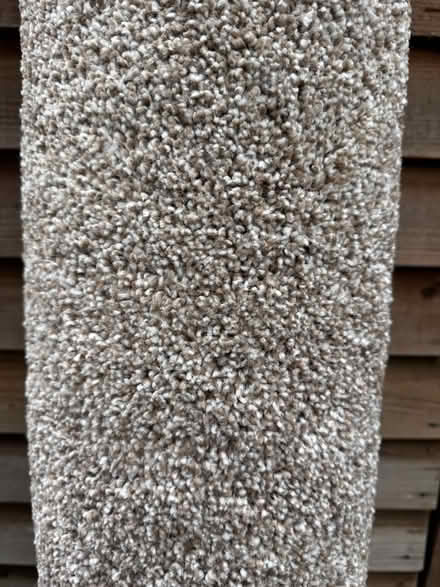 Photo of free Carpet 2m x 2m (SE15 Peckham) #2