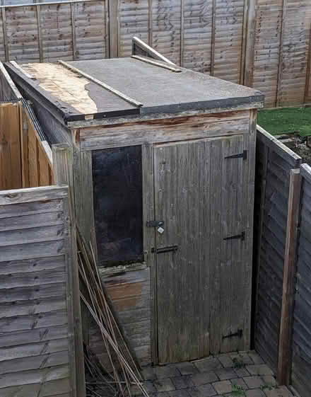 Photo of free shed - perfect for allotment (Shepreth, nr Royston) #1