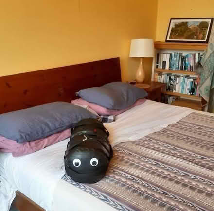 Photo of free 20kg Sandbag aka 'Lockdown Kenny' (Royal Leamington Spa CV32) #2