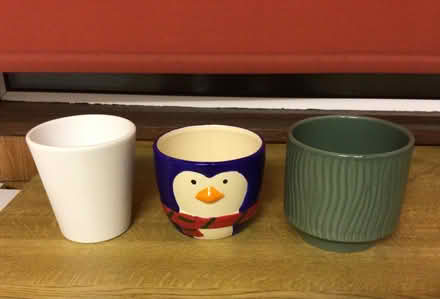 Photo of free China plant pots. (Sutton Courtenay OX14) #1