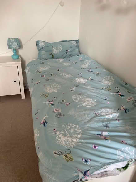 Photo of free curtains, duvet cover and lamp (Abingdon OX14) #2