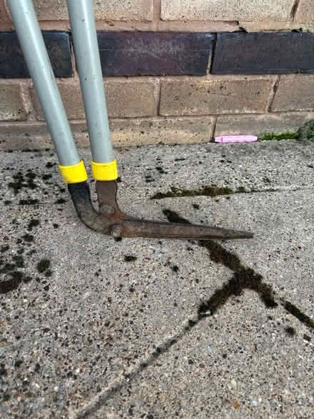 Photo of free Lawn Edging shears (Wigston Magna) #2