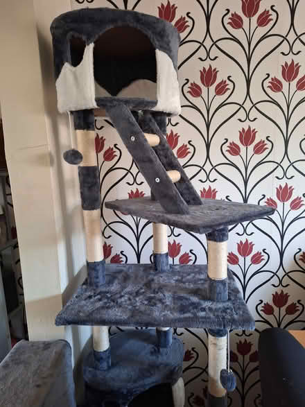 Photo of free Cat activity tower (Allesley Park CV5) #1