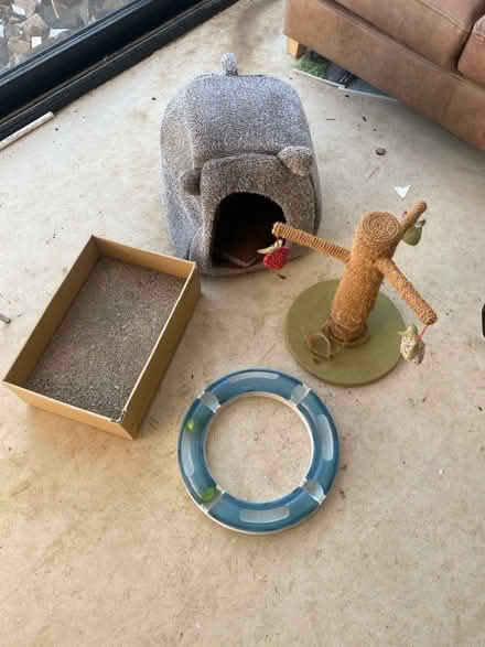 Photo of free Cat / kitten bits (Harpenden AL5) #1