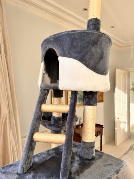 Photo of free Cat tree (adjustable ceiling brace) (OX2 Norham Manor) #1