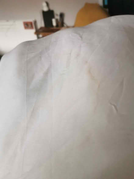 Photo of free Fogarty Single Duvet 13.5 tog (Saltaire BD18) #2