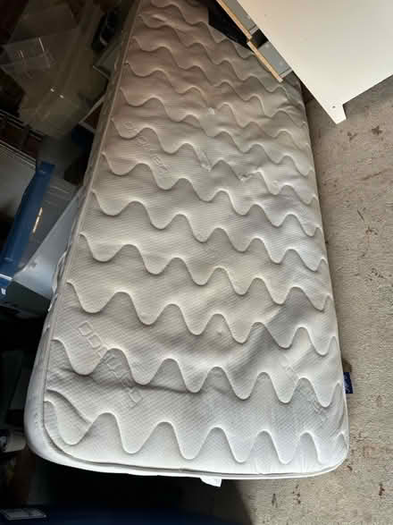 Photo of free Single mattress (NE3 Gosforth) #1