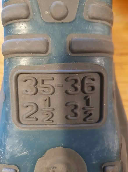 Photo of free Swimming Fins size 2 1/2 - 3 1/2 (Rhiwlas) #2