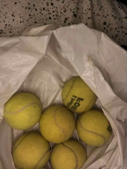 Photo of free Tennis balls (N4) #1